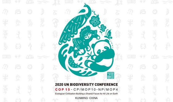 Thông qua Tuyên bố Côn Minh về bảo tồn đa dạng sinh học toàn cầu hậu 2020