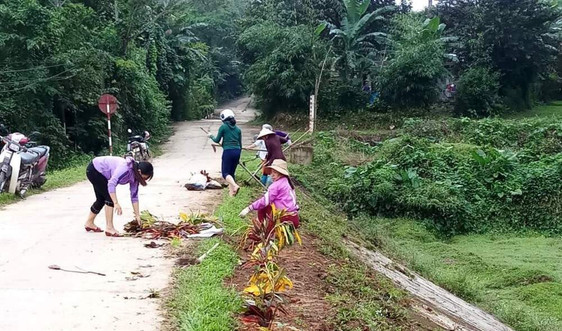Quảng Nam: Lan tỏa phong trào tôn giáo tham gia bảo vệ môi trường