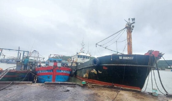 Nghệ An: Cho phép tàu thuyền ra khơi từ 15h chiều nay