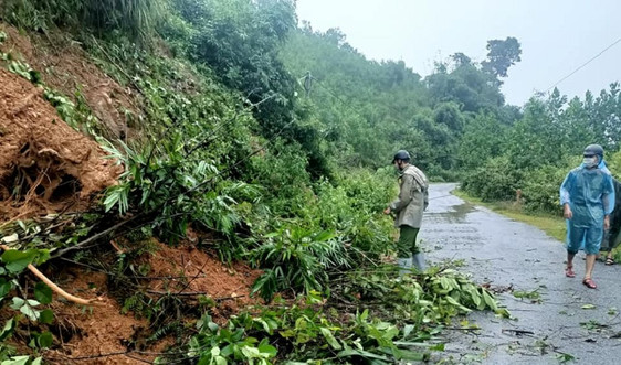 Nghệ An: Khẩn trương khắc phục những điểm sạt lở đất ở vùng cao