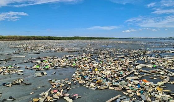 Rác thải nhựa bủa vây rừng ngập mặn ở Vịnh Manila 