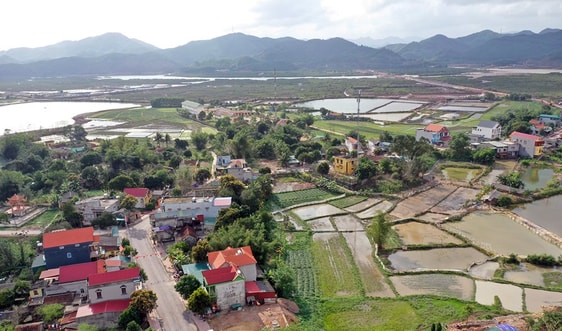 Bài dự thi “Cùng giữ màu xanh của biển”: Hồi sinh rừng ngập mặn Đồng Rui - Bài 2: Rừng đã vui trở lại