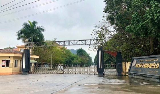 Công ty TNHH Duyên Hà bị Thanh tra Chính phủ "điểm mặt" vì sai phạm