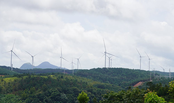 Quảng Trị: 16 dự án điện gió kịp vận hành để hưởng giá FIT