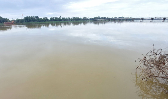 TP. Huế: Nước sông Hương đổi màu bất thường