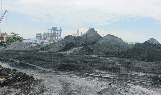 Hải Dương: Tịch thu hàng chục nghìn tấn than, xử phạt trên 920 triệu đồng với 2 doanh nghiệp và 5 cá nhân