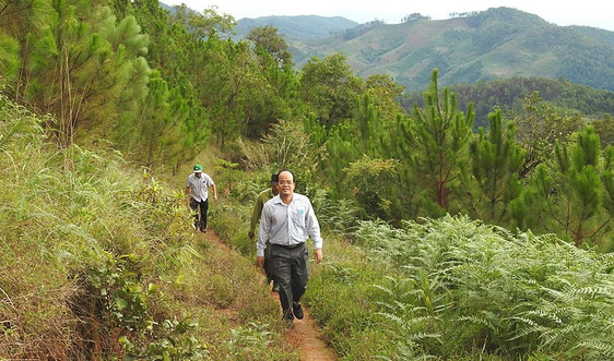 Quỹ BV&PT rừng tỉnh Kon Tun: 10 năm đưa chính sách chi trả DVMTR lại gần dân