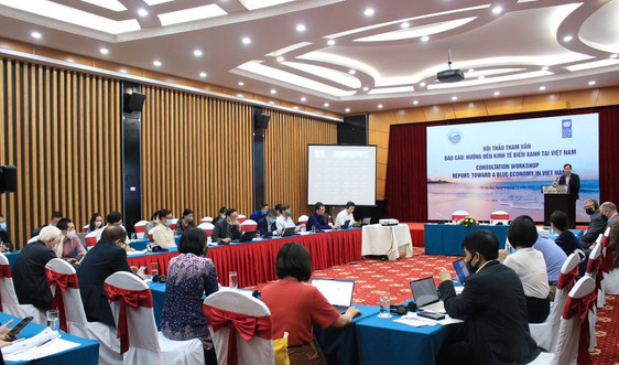 Tham vấn về Báo cáo kinh tế biển xanh Việt Nam