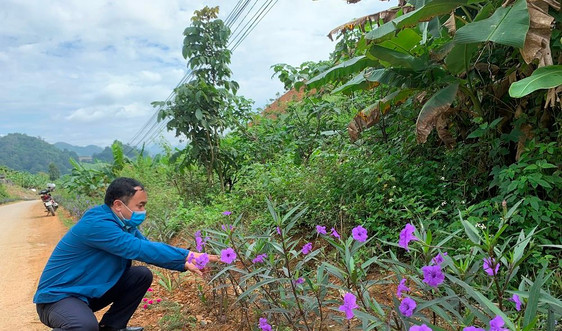 Sơn La: Kiểm tra việc thực hiện tiêu chí môi trường tại xã Mường Bằng
