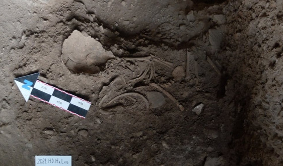 Lạng Sơn: Phát hiện mộ táng trẻ em nằm co bó gối niên đại 11.000 năm tuổi