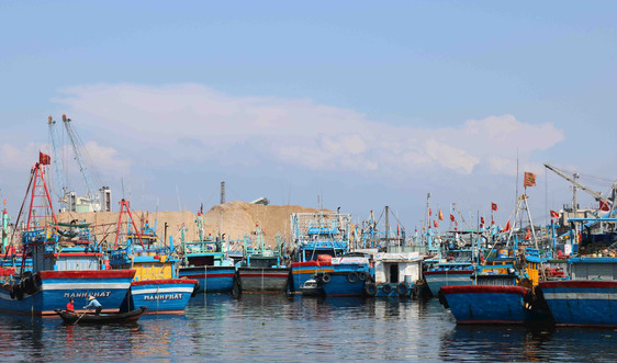 Bình Định: Phát triển kinh tế biển đa ngành, đa lĩnh vực bền vững