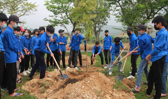 Nghệ An: Các huyện miền núi tăng cường trồng cây theo đề án trồng 1 tỷ cây xanh