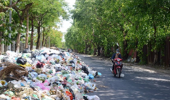 Thúc đẩy các mô hình sản xuất bền vững Hànộimới #16 Thúc đẩy các mô hình sản xuất bền vững Hànộimới