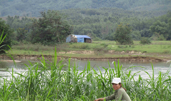 Bình Định: Dân mất đất sản xuất vì sông Kôn sạt lở 