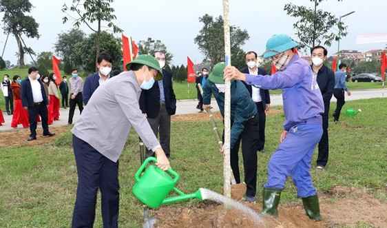 Thành phố Hà Tĩnh hướng mục tiêu trồng 100.000 cây xanh vì môi trường đô thị