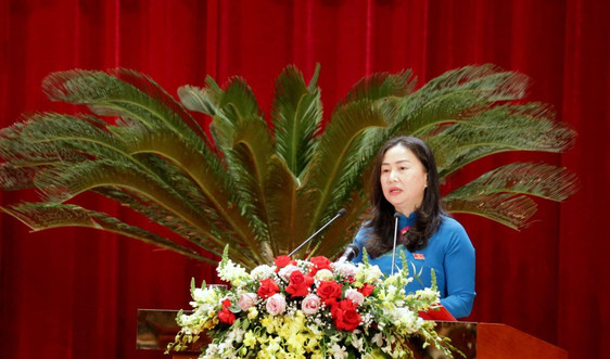  Bà Vi Ngọc Bích được bầu làm Phó Chủ tịch HĐND tỉnh Quảng Ninh