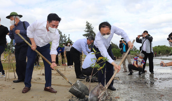 Bộ TN&MT và tỉnh Khánh Hòa ra quân trồng cây rừng ngập mặn ứng phó biến đổi khí hậu