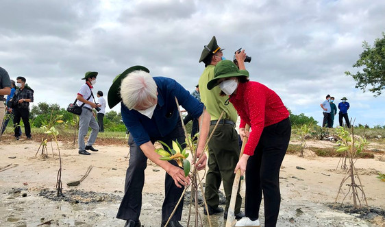 URC Việt Nam tham gia trồng cây rừng ngập mặn ven biển