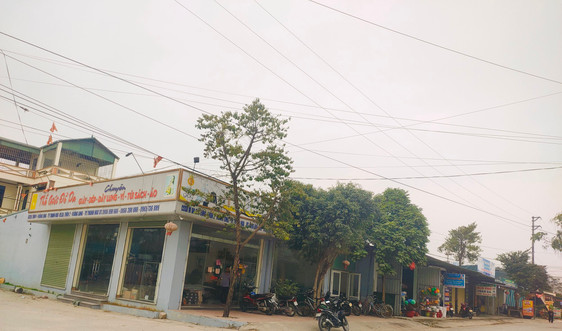 TP Thanh Hóa: Nhiều sai phạm trong lĩnh vực đất đai ở phường Long Anh