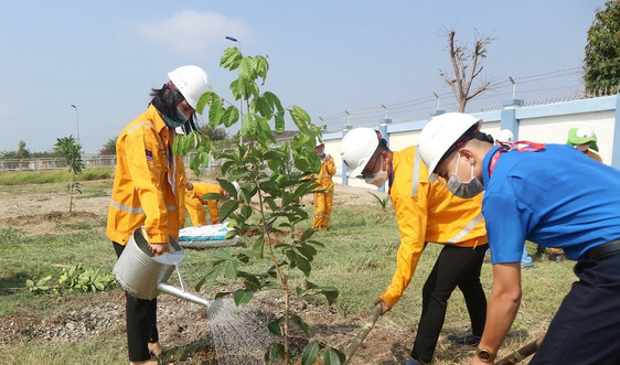 PV GAS đồng hành cùng “Chương trình 1 tỷ cây xanh” tại tỉnh Khánh Hòa