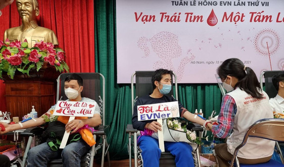 170 tình nguyện viên Công ty Điện lực Hà Nam tham gia tuần lễ hồng EVN