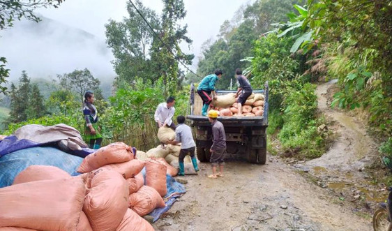 Bắc Hà - Lào Cai: Mô hình hay thu gom chất thải trong chăn nuôi bảo vệ môi trường trong xây dựng nông thôn mới