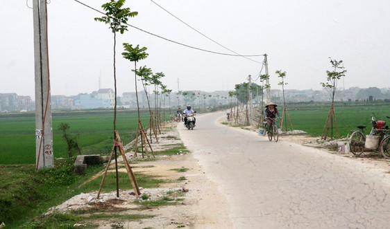 Đồng bào công giáo tỉnh Bắc Giang tích cực hiến đất xây dựng nông thôn mới