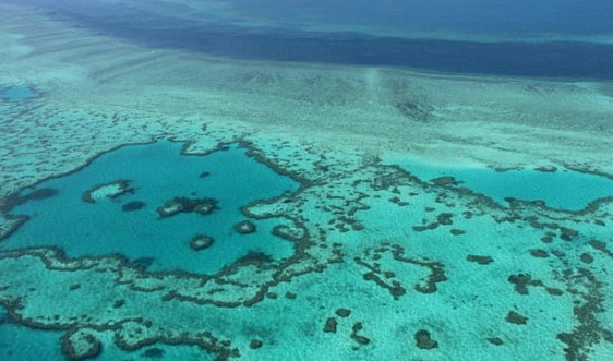 Cuối tháng 1/2022, rạn san hô Great Barrier có thể bị tẩy trắng hàng loạt