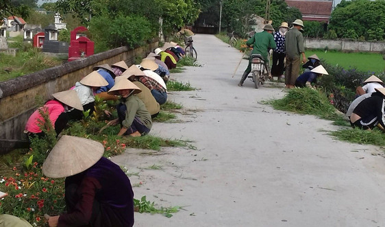 Thái Bình: Các tín đồ tôn giáo hăng hái tham gia bảo vệ môi trường