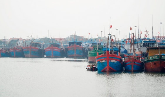 Thanh Hóa: Quản lý khu bảo tồn biển Việt Nam