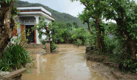 Bình Định: Công bố tình trạng khẩn cấp về sạt lở núi Cấm