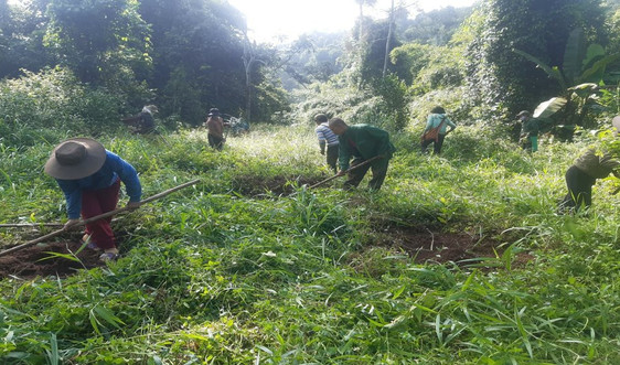Ban Quản lý rừng phòng hộ Nam Cát Tiên: Hiệu quả từ công tác giao khoán bảo vệ rừng