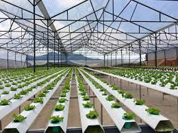 Thành lập Khu nông nghiệp ứng dụng công nghệ cao Quảng Ninh