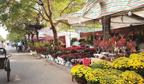 Hải Phòng tổ chức 18 điểm Chợ hoa Xuân năm 2022