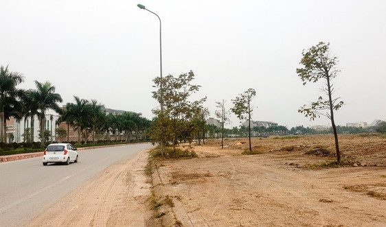 Đấu giá đất dự án khu dân cư hơn 24.000 m2 tại TP. Thanh Hóa