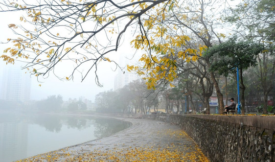 Thời tiết ngày 26/1, Hà Nội có mưa phùn, chiều hửng nắng