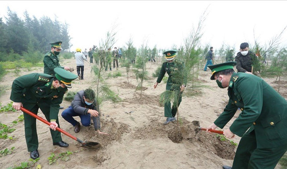 Ninh Bình phấn đấu trồng mới 1,2 triệu cây xanh trong năm 2022