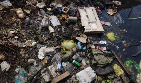 WWF kêu gọi hành động khẩn cấp chống rác thải nhựa đại dương