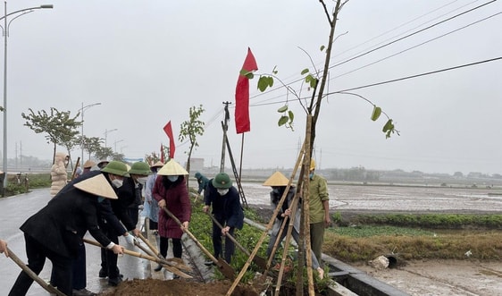 Ninh Bình ra quân xây dựng "Đường cây phụ nữ"