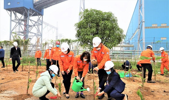Công ty Nhiệt điện Nghi Sơn tổ chức Lễ phát động Tết trồng cây xuân Nhâm Dần 2022