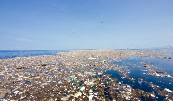 Nhiều khu vực biển vượt ngưỡng nguy hiểm của nồng độ vi nhựa 