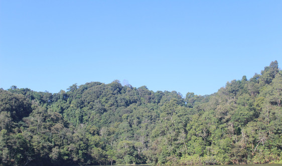 Chính sách chi trả dịch vụ môi trường rừng góp phần phát triển kinh tế- xã hội