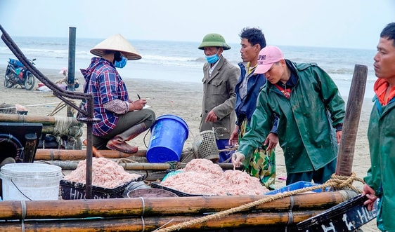 Thanh Hóa tăng cường công tác quản lý môi trường cảng cá