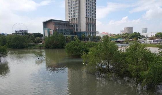 Đà Nẵng: Hệ thống nước thải xuống cấp, sông Hàn lại bị “nhuộm đen”