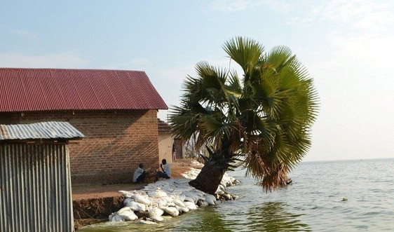 Lũ lụt ở hồ Albert gây ảnh hưởng kinh tế nặng nề tại Uganda