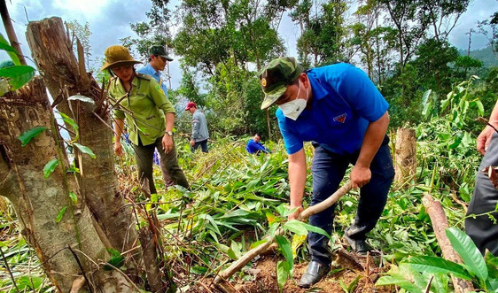 Quảng Ngãi: Tỷ lệ che phủ rừng toàn tỉnh đạt 50,72% 