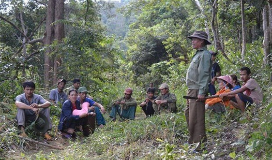 Điện Biên: Đẩy mạnh kiểm tra, giám sát quản lý sử dụng tiền chi trả dịch vụ môi trường rừng