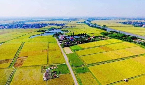 Không điều chỉnh lại đất nông nghiệp đã giao cho người dân