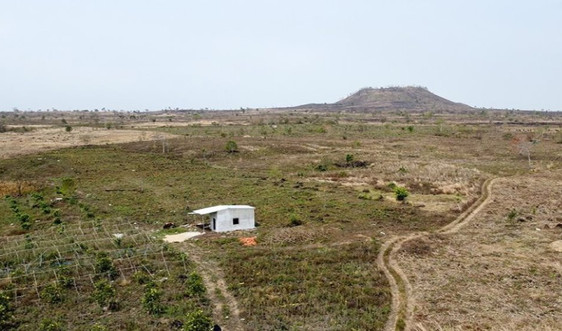 Đắk Nông: Nhiều diện tích đất lâm nghiệp tại khu vực hang động nửi lửa Chư Bluk bị xâm chiếm