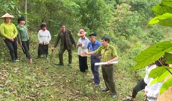 Kiểm tra, xác minh diện tích rừng cung ứng dịch vụ môi trường rừng trên địa bàn huyện Mường Ảng